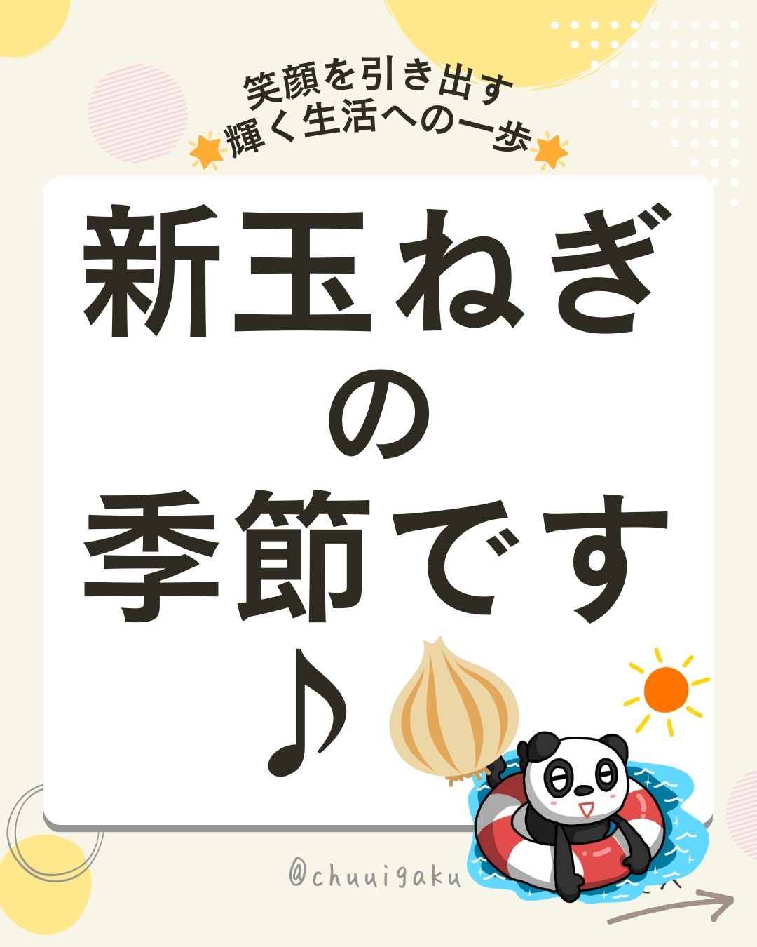 Instagramの投稿（縦長） (12)