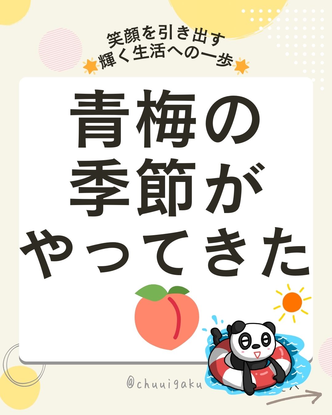 Instagramの投稿（縦長） (14)