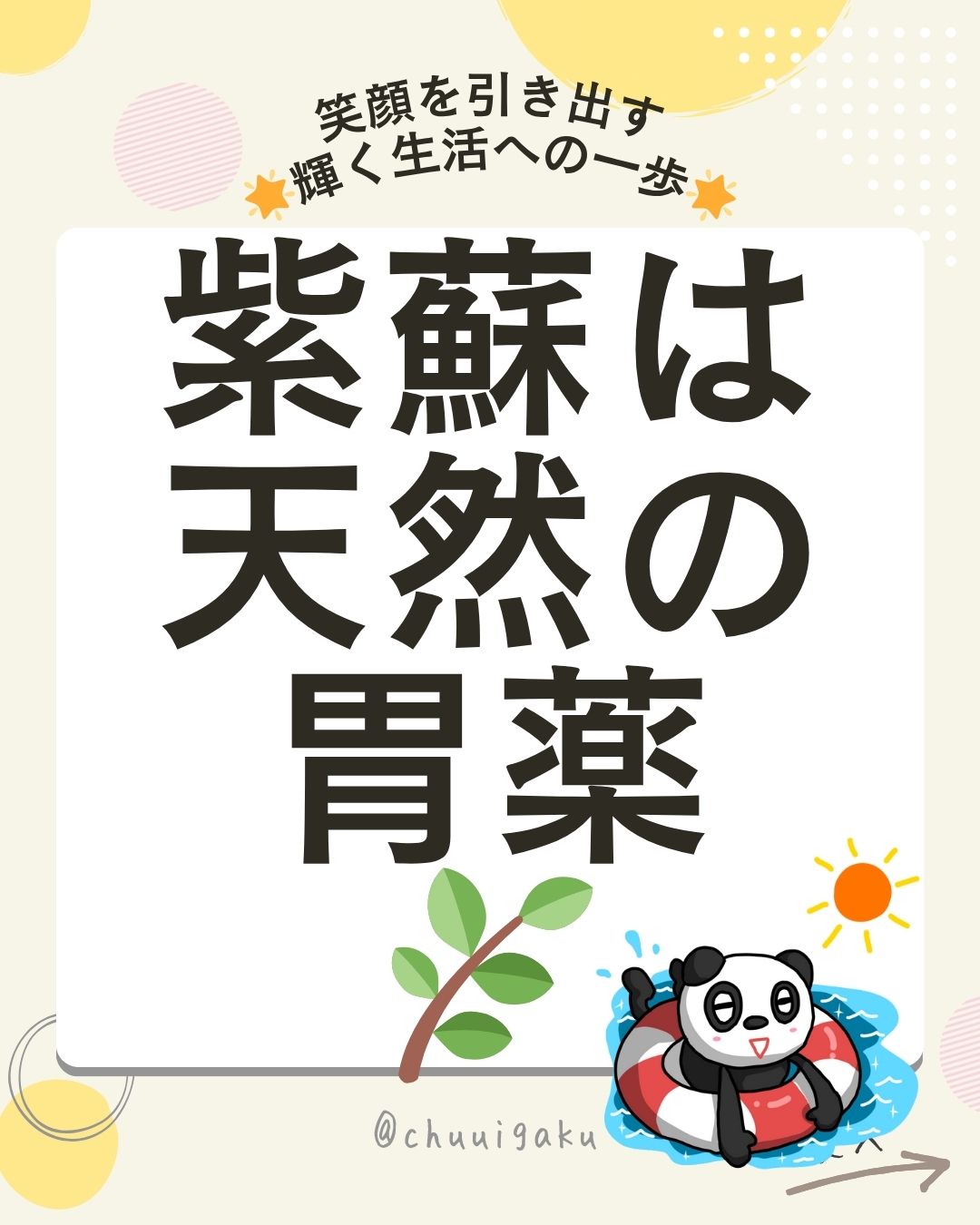 Instagramの投稿（縦長） (8)